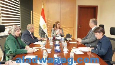 صورة وزيرة التخطيط تبحث سبل التعاون مع سفير هولندا بالقاهرة