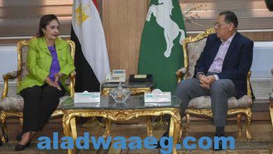 صورة محافظ الشرقية يلتقي رئيسة اللجنة الوطنية التنسيقية لمكافحة ومنع الهجرة غير الشرعية