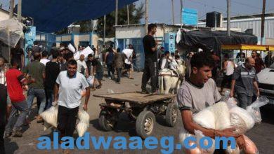 صورة أهالي غزة يقتحمون مستودعات تابعة لوكالة الإغاثة للاستيلاء على الطحين