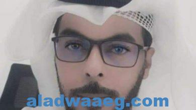 صورة راية الرقي والمعرفة الإمارات تحتفي بيوم العلم