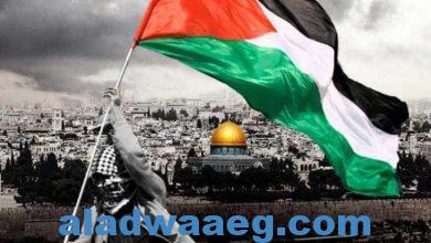صورة ” ليلي الهمامي ” تؤكد ان الشعب الفلسطيني مازال يواجه اثار بلفور المشؤوم في الذكرى الـ 106