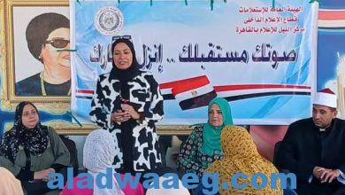 صورة النيل للإعلام بالقاهرة يسلط الضوء على أهمية المشاركة فى الاستحقاقات الانتخابية