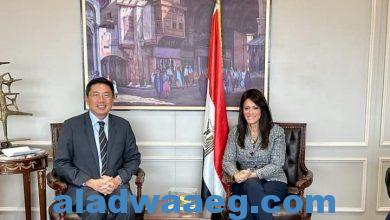 صورة وزيرة التعاون الدولي تلتقي سفير جمهورية سنغافورة لدى مصر