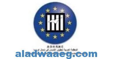 صورة المنظمة العربية لحقوق الإنسان بشمال أوروبا و الانتخابات الرئاسية المصرية