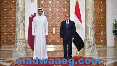 صورة جلسة مباحثات بين السيد رئيس الجمهورية وأمير دولة قطر أثناء زيارتة لمصر
