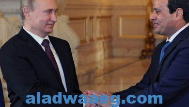 صورة الرئيس بوتين يشكر السيسي على المساعدة في إجلاء الروس من قطاع غزة