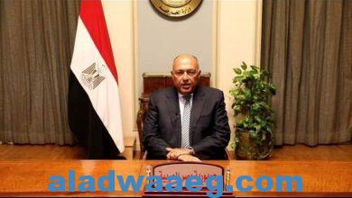 صورة شكري.. يوجه البعثات الدبلوماسية بتيسير مشاركة المصريين في الانتخابات الرئاسية