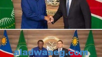 صورة السفير المصري في ويندهوك يلتقي مع رئيس جمهورية ناميبيا