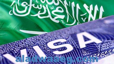 صورة استطلاع جديد من Visa يحدد الفئات التي لا تزال تستخدم النقد للدفع في السعودية