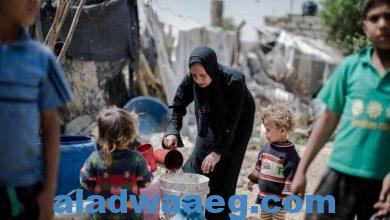 صورة أزمة أهالي قطاع غزة بين موت وجوع