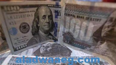 صورة تحذير عاجل في مصر من دولارات مزيفة مطروحة في السوق الموازية