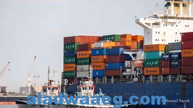 صورة ميناء دمياط يستقبل 39 سفينة ومغادرة 3 قطار بحمولة 3898 طن قمح لصوامع كفر الشيخ و شبرا و امبابة