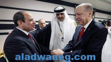 صورة الرئيس التركي يهنئ السيسي ويبحثا معا الوضع في غزّة