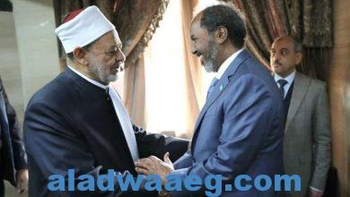 صورة رئيس الصومال يلتقي مع فضيلة الإمام الأكبر شيخ الأزهر