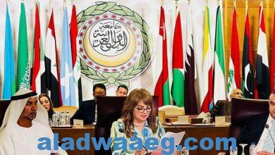 صورة “مجلس الأسرة العربية للتنمية” يرحب بقرار محكمة العدل الدولية