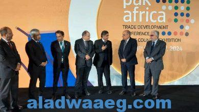صورة العاصمة المصرية القاهرة تشهد افتتاح المؤتمر الرابع لتنمية التجارة الباكستانية الأفريقية ومعرض باكستان