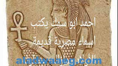 صورة احمد ابو سمك يكتب اسماء مصرية قديمة للأولاد ومازالت متداوله بيننا