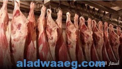 صورة اسعار اللحوم اليوم السبت العشرون من شهر يناير