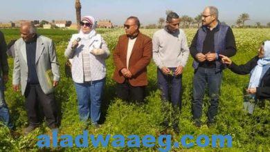 صورة الفريق الإرشادي الريفي للمحاصيل الإستراتيجية بمركز البحوث الزراعية يجوب محافظة الفيوم