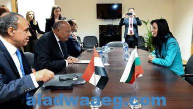 صورة وزير الخارجية يلتقي مع نائبة رئيس الوزراء ووزيرة خارجية بلغاريا على هامش اجتماعات مجلس المشاركة المصري/الأوروبي