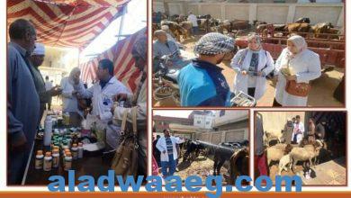 صورة بيطري الشرقية … تنظيم قافلة طبية بيطرية مجانية بمدينة منشأة أبو عمر