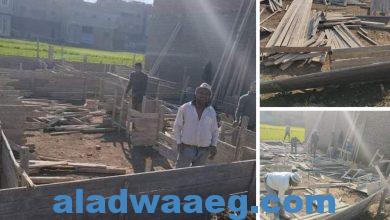 صورة القليوبية: إزالة فورية لتعدي بالبناء في قرية تابعة للخانكة