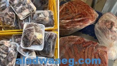 صورة حملات من محافظة دمياط والصحة والتموين والطب البيطري للتفتيش على اللحوم والأغذية