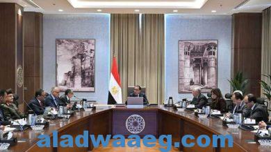 صورة رئيس الوزراء يتابع خطوات تنفيذ مسار تنموي زراعي بشمال ووسط سيناء