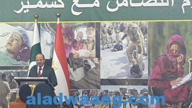 صورة ” سفارة باكستان ” لــدي القاهرة تقيم ندوة لإحياء يوم التضامن مع كشمير