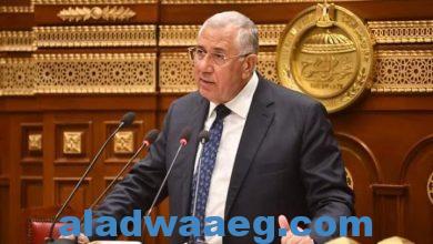 صورة كلمة وزير الزراعه….أمام جلسة مجلس الشيوخ حول تعزيز تنافسية الصادرات الزراعية المصرية