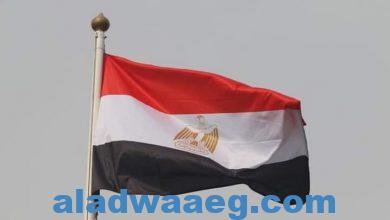 صورة مصر.. تطورات جديدة في قضية رشوة وزارة التموين