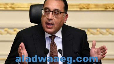 صورة رئيس الوزراء يستعرض تقريرًا حول جهود الهيئة المصرية للشراء الموحد لتوطين الصناعات والمستلزمات الطبية