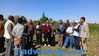 صورة فريق الإرشاد الريفي يجوب محافظة الفيوم لتوعية المزارعين لمحصولى النباتات الطبية والعطرية والبنجر