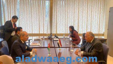 صورة الخارجية..خلال زيارته لجنيف وزير الخارجية يلتقي مع نظيره الأردني