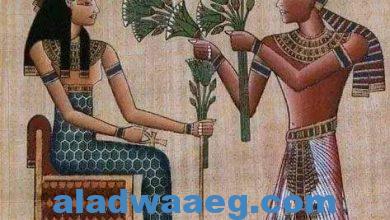 صورة «زهرة اللوتس» أهم رموز مصر القديمة 