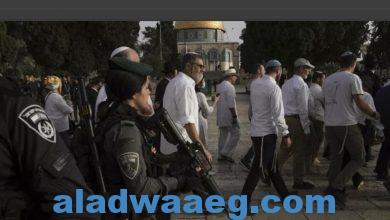 صورة شرطة إسرائيل تقترح نشر قوة دائمة بساحة المسجد الأقصى في رمضان