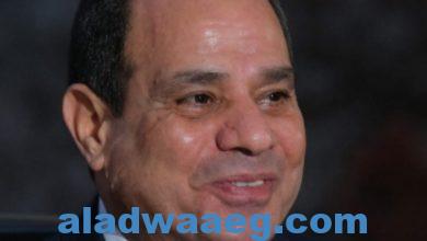 صورة جمهورية مصر العربية: الرئيس السيسي يصدق على قانون إنشاء وتنظيم نقابة التقنيين