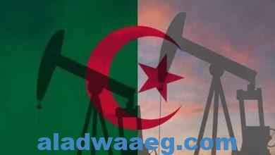 صورة الجزائر تستضيف القمة السابعة لمنتدى الدول المصدرة للغاز
