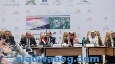 صورة وزيرا التجارة بمصر والسعودية يترأسان اجتماع مجلس الأعمال المصري السعودي المشترك