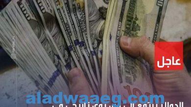 صورة الدولار يرتفع إلى مستوى تاريخي في البنوك المصرية