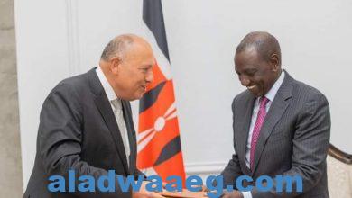 صورة الخارجية..وزير الخارجية يُسلِّم رسالة من السيد رئيس الجمهورية إلى الرئيس الكيني