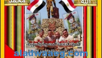 صورة        مصر عروبتي