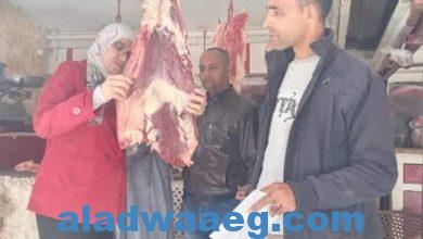 صورة ضبط نصف طن دواجن ولحوم فاسدة خلال حملة تفتيشية بيطرية بمركزين بالمنيا