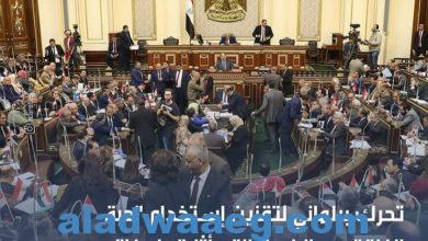صورة تحرك برلماني لتقنين إستخدام “حبة الغلة” بعد  وفاة “طالبة العريش”