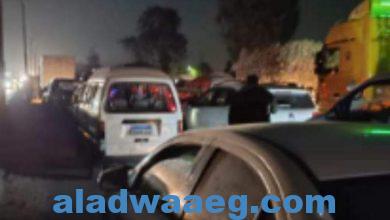 صورة مصرع شخصين صدمتهما سيارة على الطريق الزراعي بسندنهور بنها