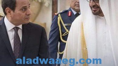صورة الرئيس السيسي ومحمد بن زايد يشددان على ضرورة تفعيل حل الدولتين
