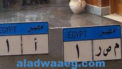 صورة قرار رئاسي لتعديل قانون المرور بمصر.