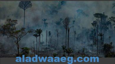 صورة إرتفاع عدد الحرائق في غابات الأمازون