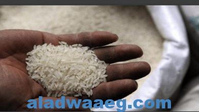 صورة الأرز المسرطن” ما زال في السوق.. جريمة غذائية على أبواب “رمضان”!