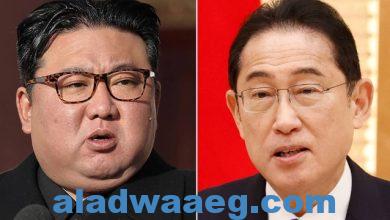 صورة شقيقة زعيم كوريا: كوريا الشمالية ترفض أي اتصال أو مفاوضات مع اليابان